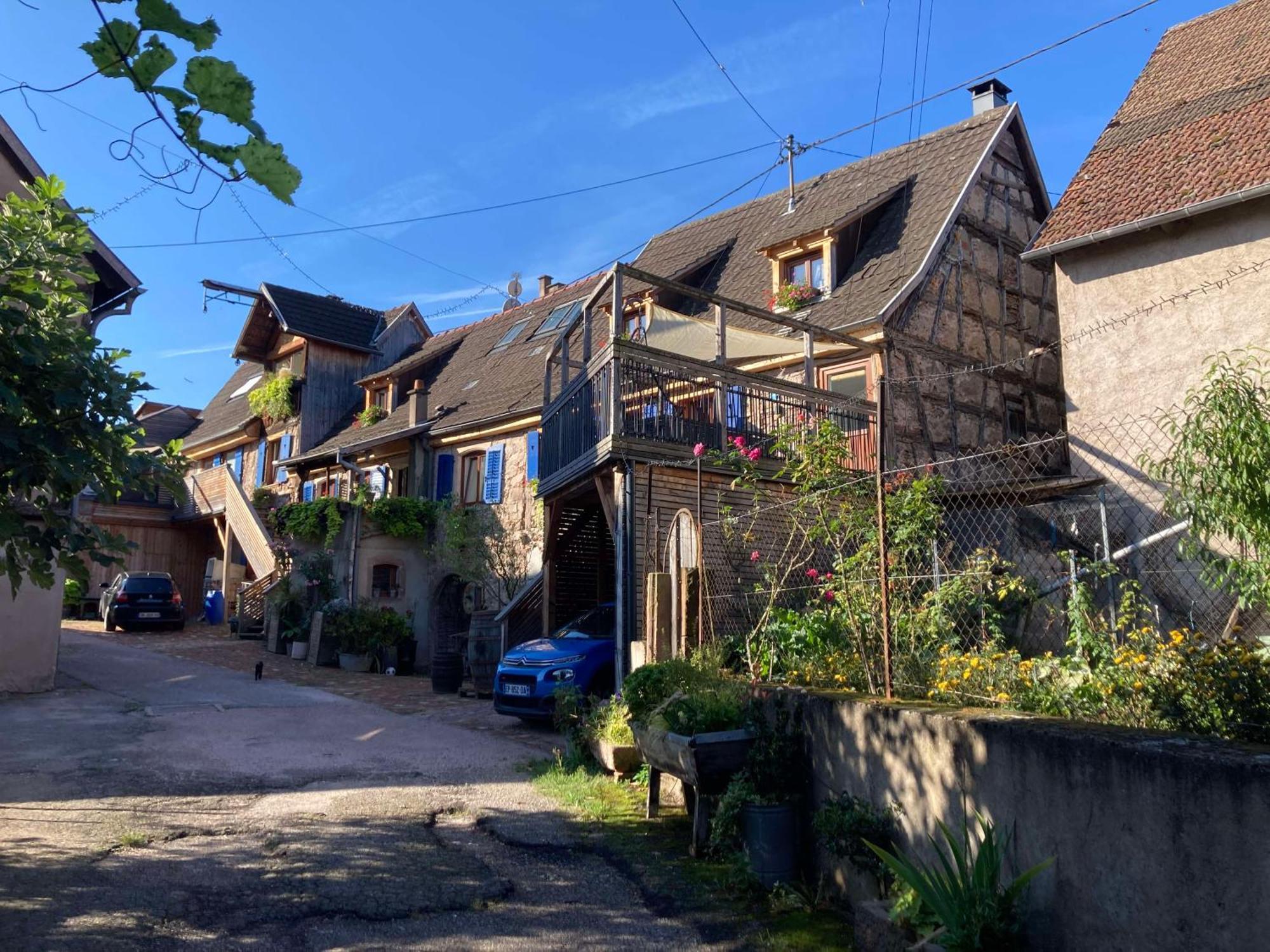 Les Gites Du Raceme Blienschwiller Exterior photo